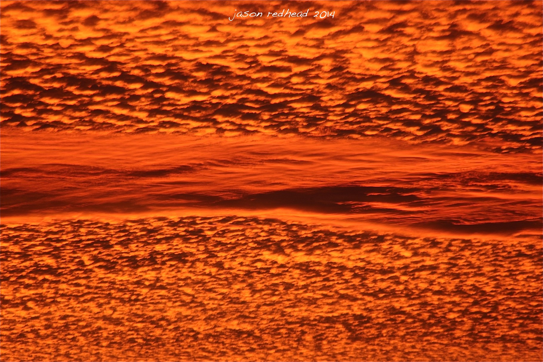  22-10-14 what am i?; popcorn, carrots, oranges, cheese, sheep coated in orange paint, orange lines on a grass field, an orange rug, a dirty rock, an old ladies wrinkly sunburnt face or none of the above...sydney, nsw