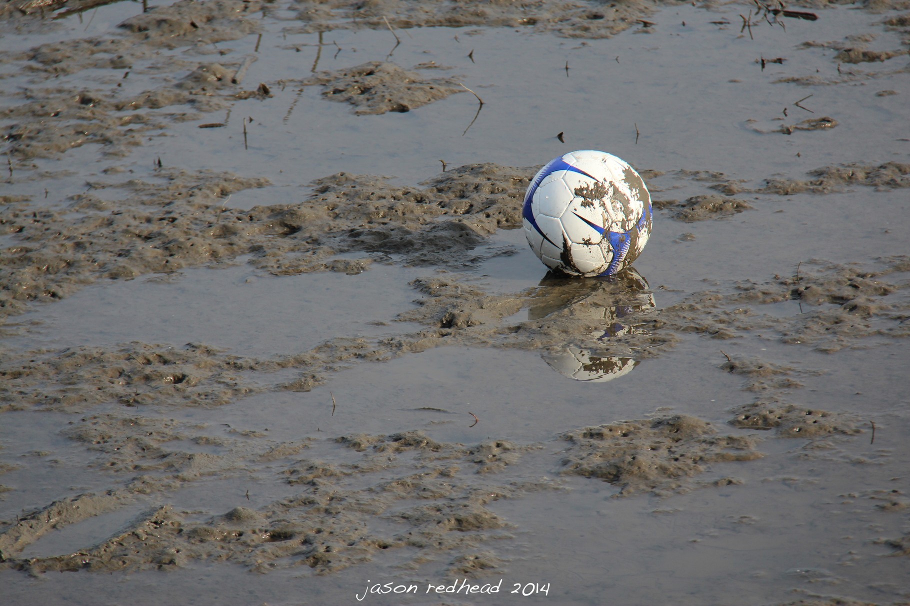  02-04-14 muddy balls; stuck in the mud with no where to go. hopefully the tide comes in soon so the waves can return my muddy balls, morrison bay canal, nsw 