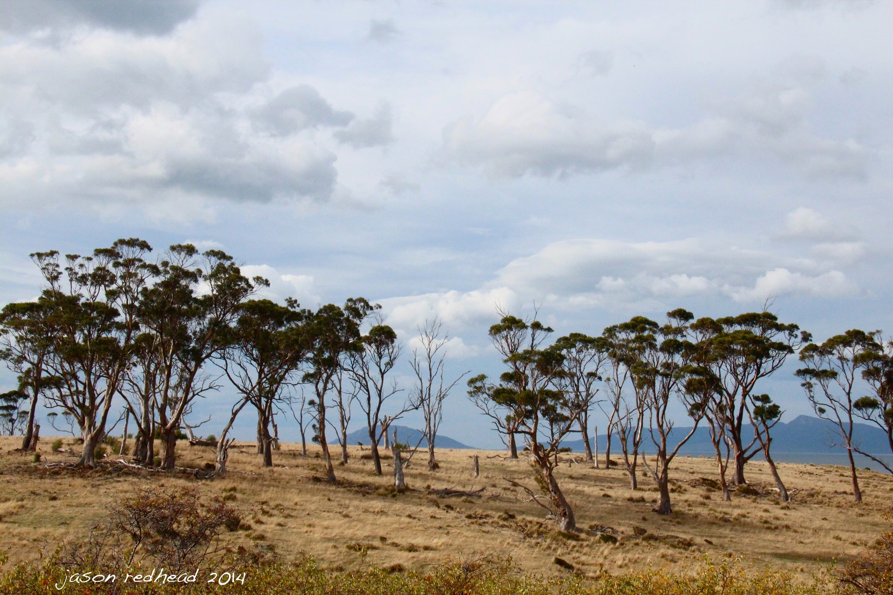 16-05-14 pick up sticks; it might be a bit of a challenge to pick all these up, i think i'd rather look at them and enjoy the tassie country side as we drive south. perth, tasmania 
