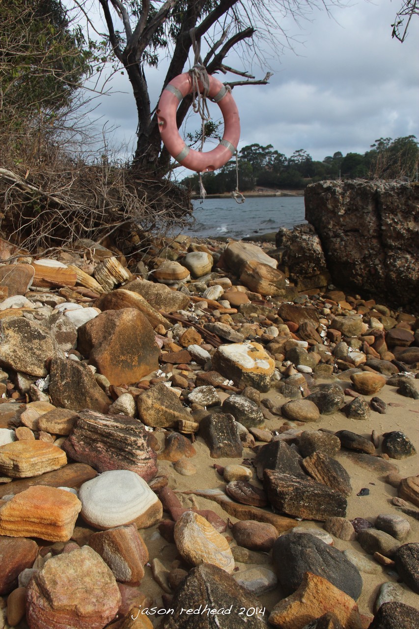  23-02-14 save me save me...;a random spot for a lifebouy to be, just handing in a tree on the middle of a rocky shore. at least if a massive wave pulls me into the water i know i'll be safe. assuming someone else is also wandering around this deserte