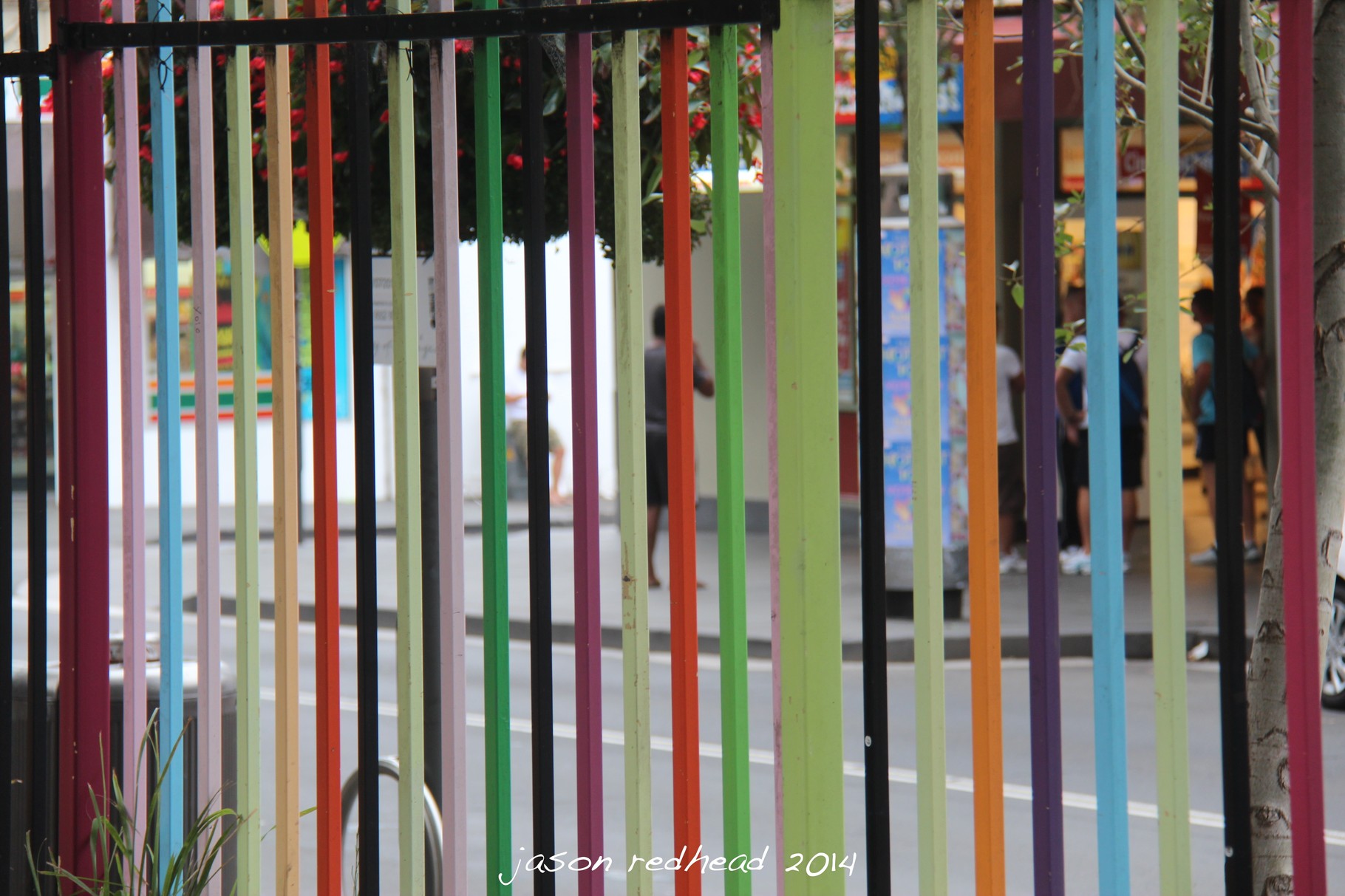  15-01-14 show us your colours; the colourful school fence of glebe primary, glebe, nsw 