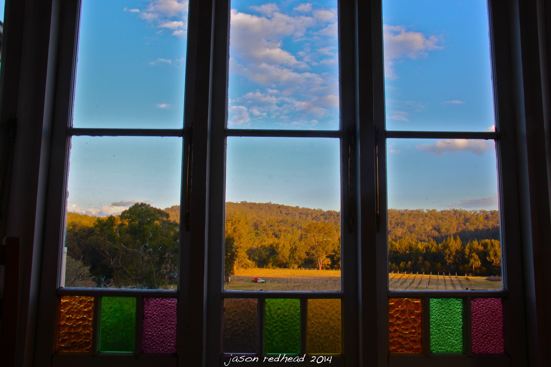  15-08-14 stained wines; these vines might be struggling through winter but today it's pretty hard to tell and they look like they are living the life in the warmth of the hunter valley, wollombi, nsw 