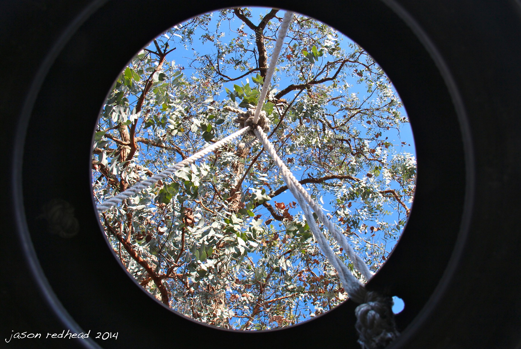  13-03-14 suspended; sunshine i'm begining to like it, i just want to swing and feel the wind on my face. howley park, nsw 