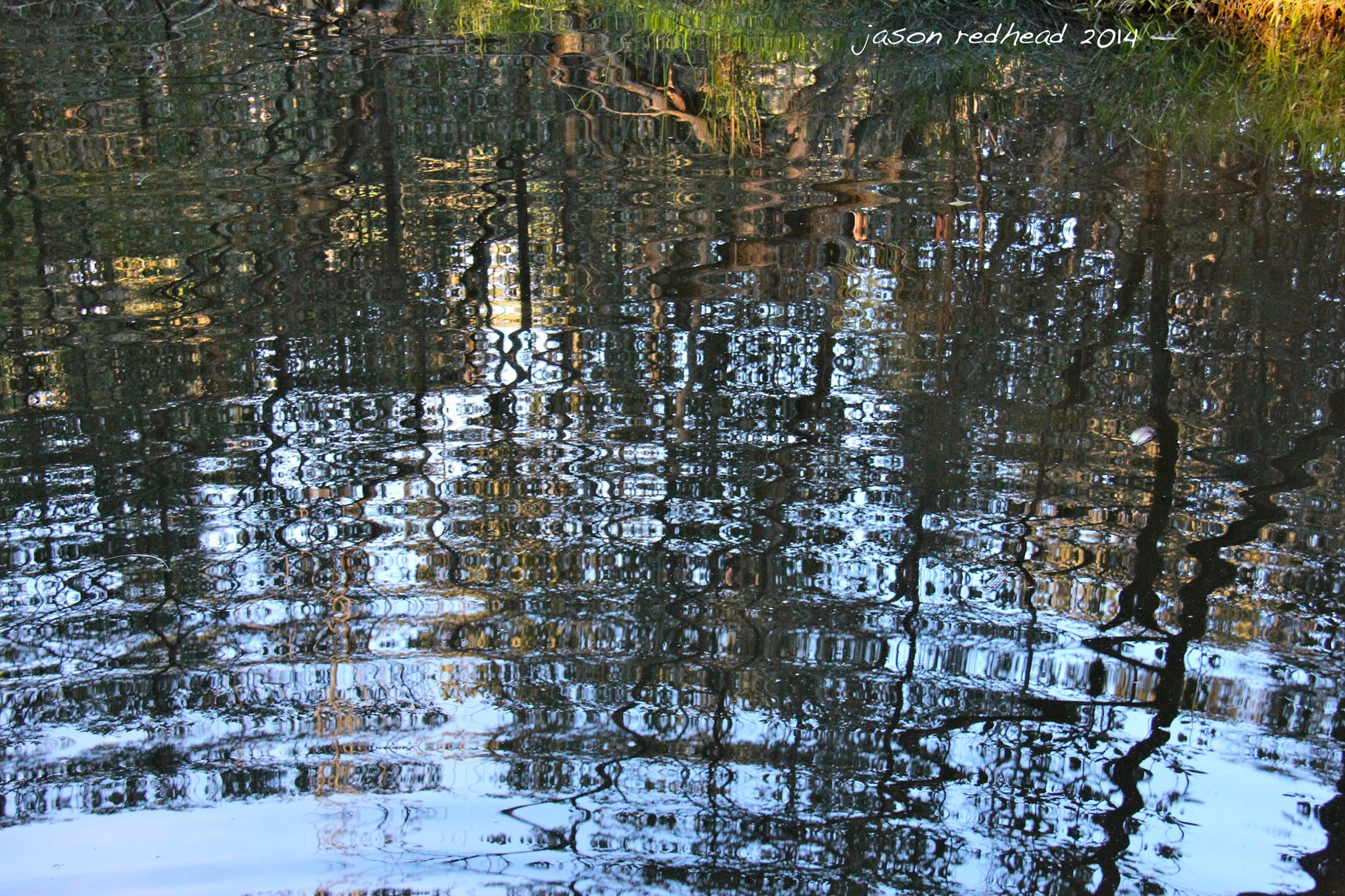  04-05-14 ripped; just another reason why we should get a dog. because they jump in the water and splash and make the water ripple to make cool pictures like this! boronia park, nsw 
