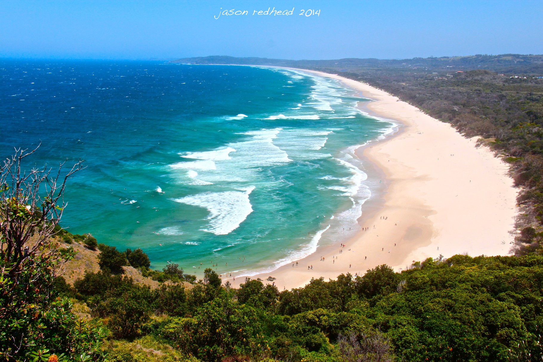  27-10-14 ants go swimming; at the place with the best shelter from the winds. dont want the ants to get blown away...tallow beach, nsw 