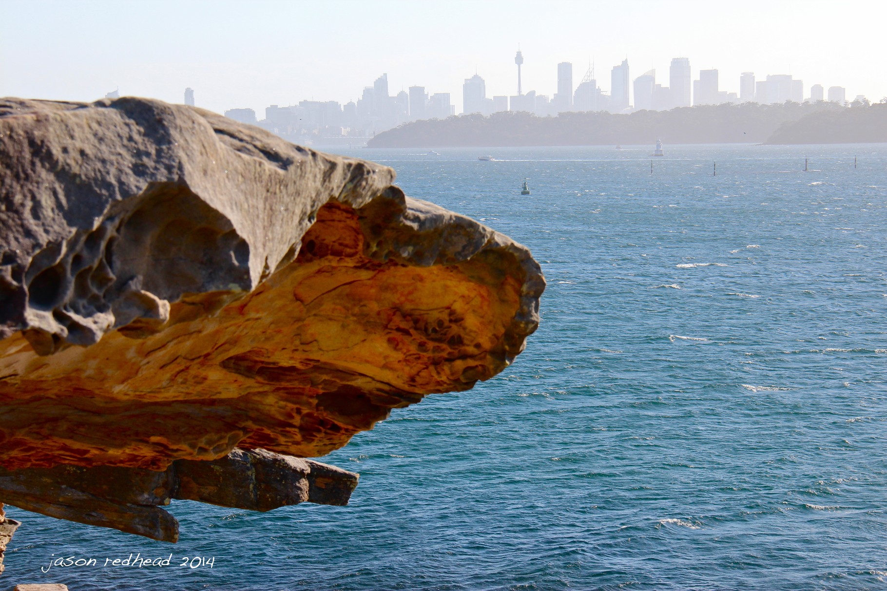 12-10-14 what animal am i?; time to get your staring eyes out and look really really closely and try to figure out what animal you can see...in the rock, not the random building in the background. south head, nsw