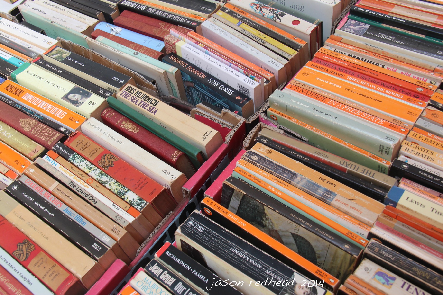  20-01-14 more than i bargined for; i expanded my horizon today at the crows nest book sale. i like books but i wish i had more time to read. crows nest, nsw 
