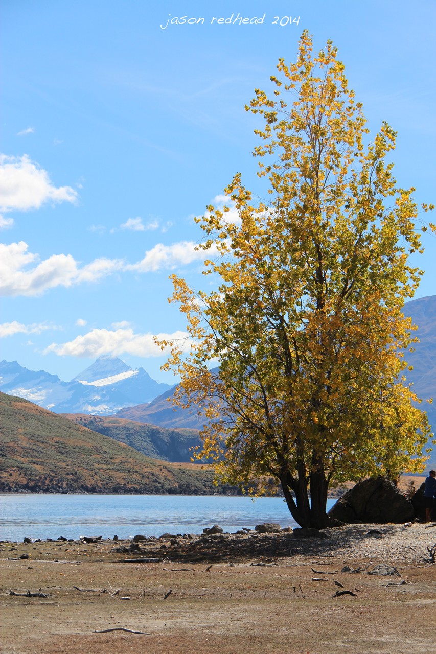  09-03-14 show us your hat...; hats off to this stunning view of mount aspiring, new zealand's second highest mountain, glendhu bay, nz 