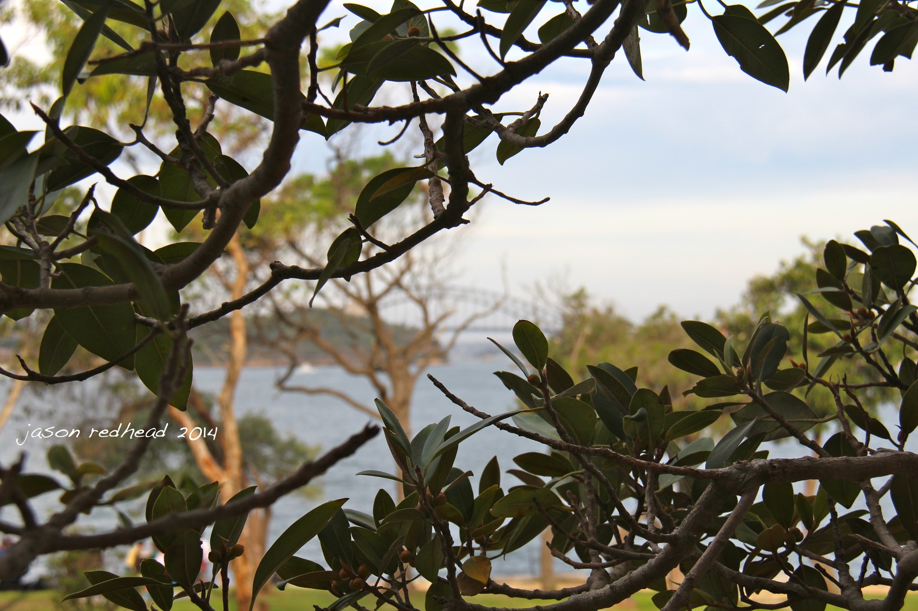  24-03-14 spying on suz; this shot reminds me of each peach pear plum i spy tom thumb...youtube it. onions point reserve, nsw 