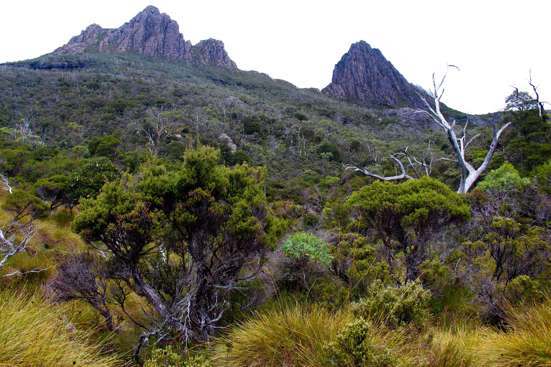 Cradle mountain in all it's glory