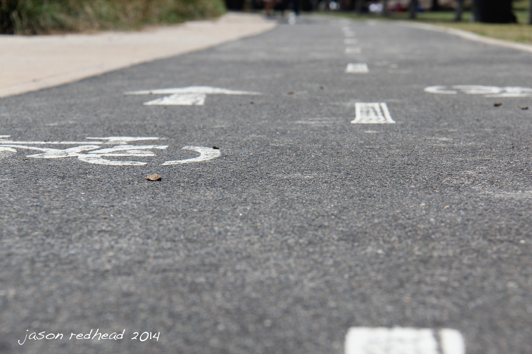  13-01-14 empty bike lanes; i took this photo lying on my stomach as at i got up a lady asked me what i was doing, i explained that i was taking photos of the bike and arrow symbols which then lead to a ten minute conversation about bike lanes, and sig