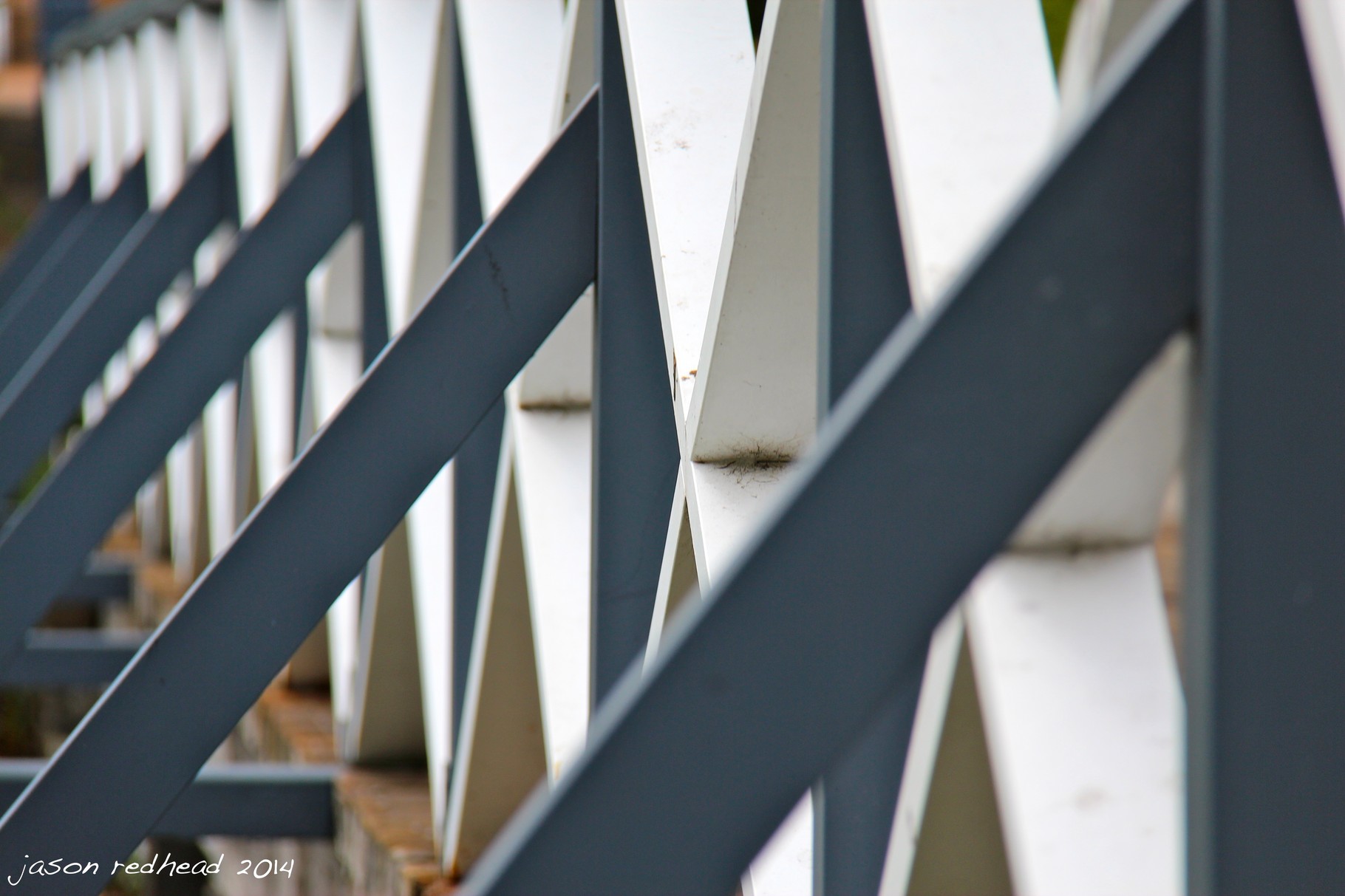  05-04-14 the saltire; one of europe's oldest has decided to hang out in sydney, lake northham, nsw 