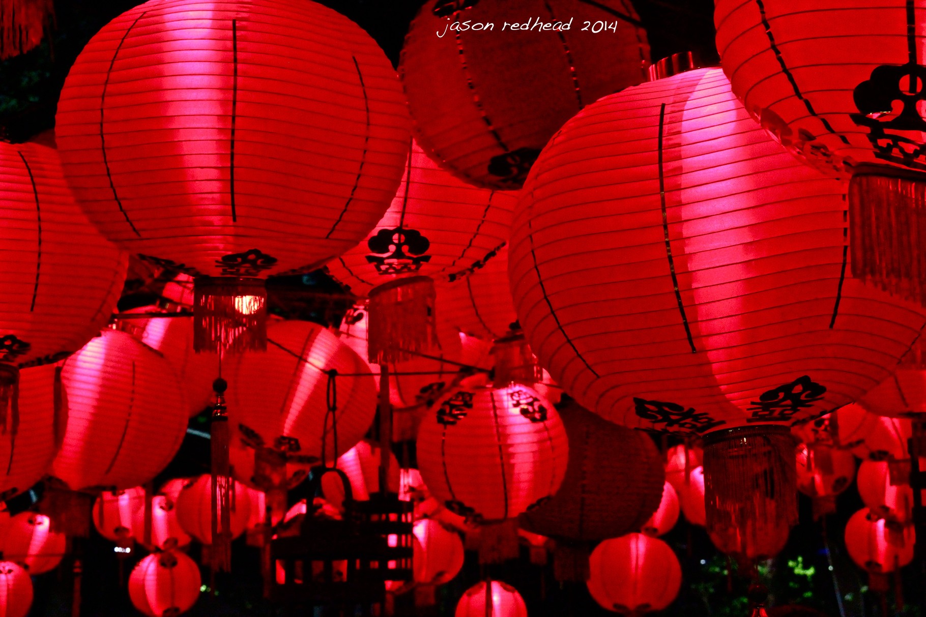 17-10-14 red invasion; they are coming to take over the sydney noodle markets. quick get your asian now before the lines get out of control and you are engulfed in a sea of red noodles. hyde park, nsw