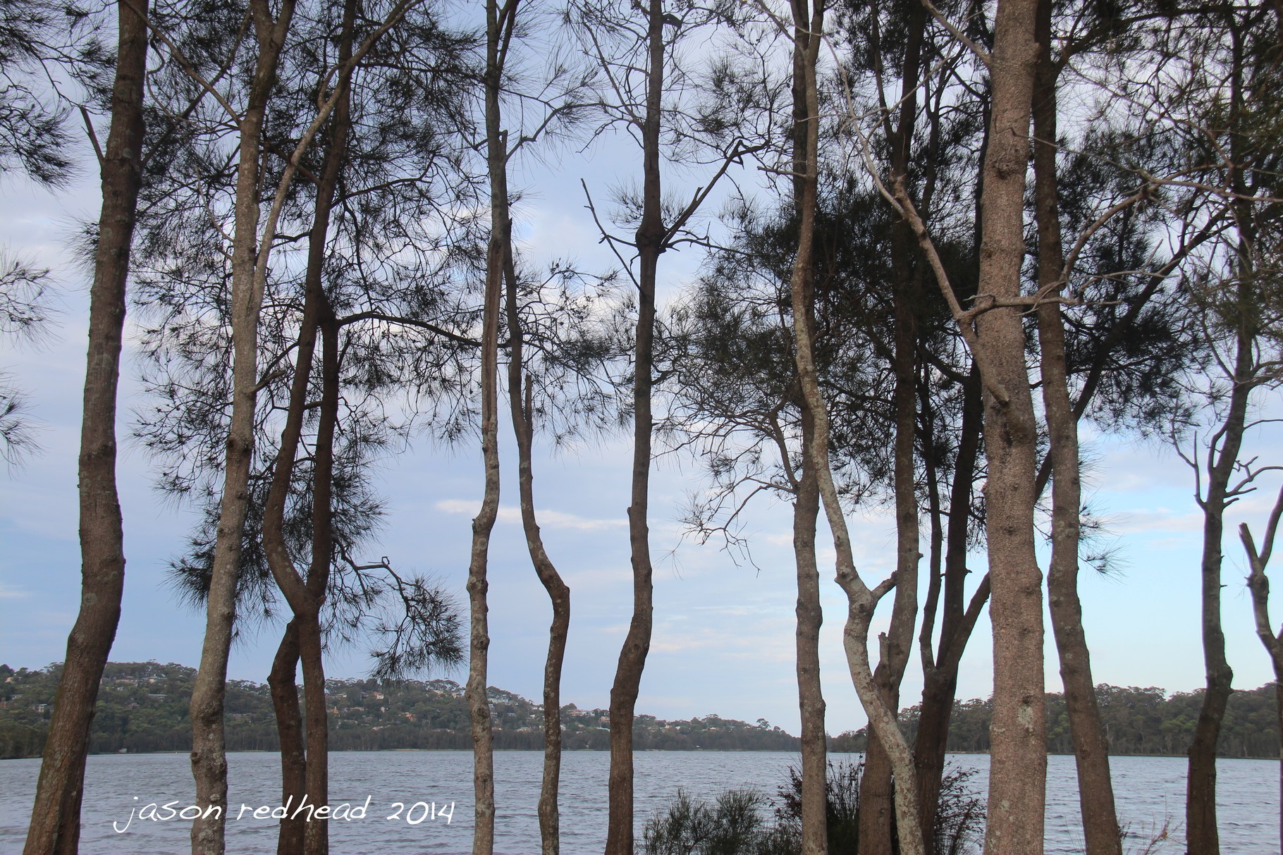  14-01-14 blocking my view; after a long run around mona vale headlands i found this spot at the head of lake narrabeen, narrabeen, nsw 