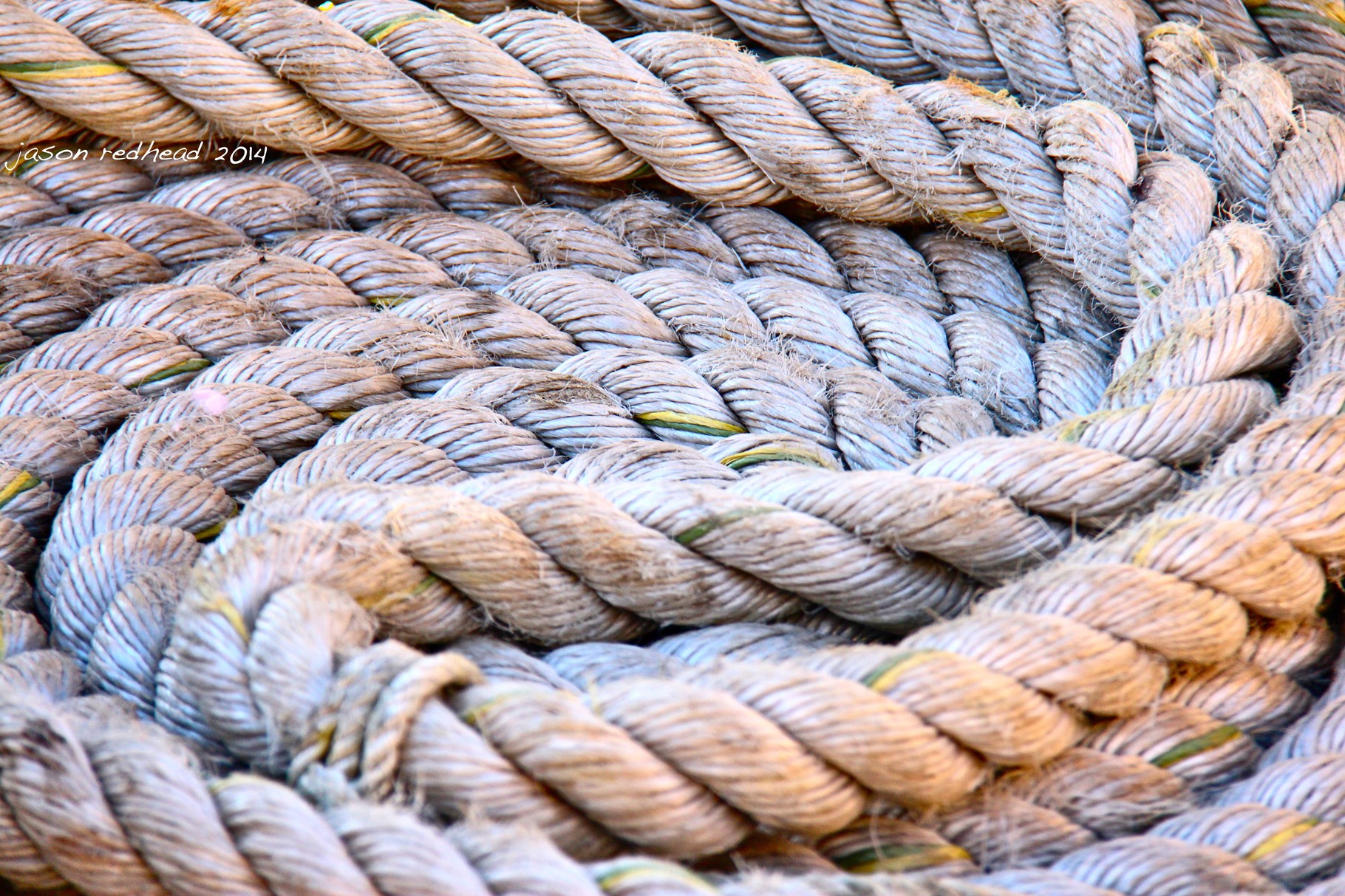  07-08-14 ready for action; sitting all neating in perfect circles eagerly awaiting the right time to get some action and hold the boat safe and secure, sydney harbour, nsw 