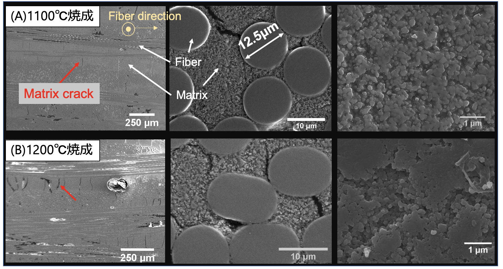 SEM micrographs of Ox/Ox-CMCs 