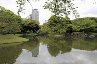 庭園の風景、奥に文京区役所が見える。