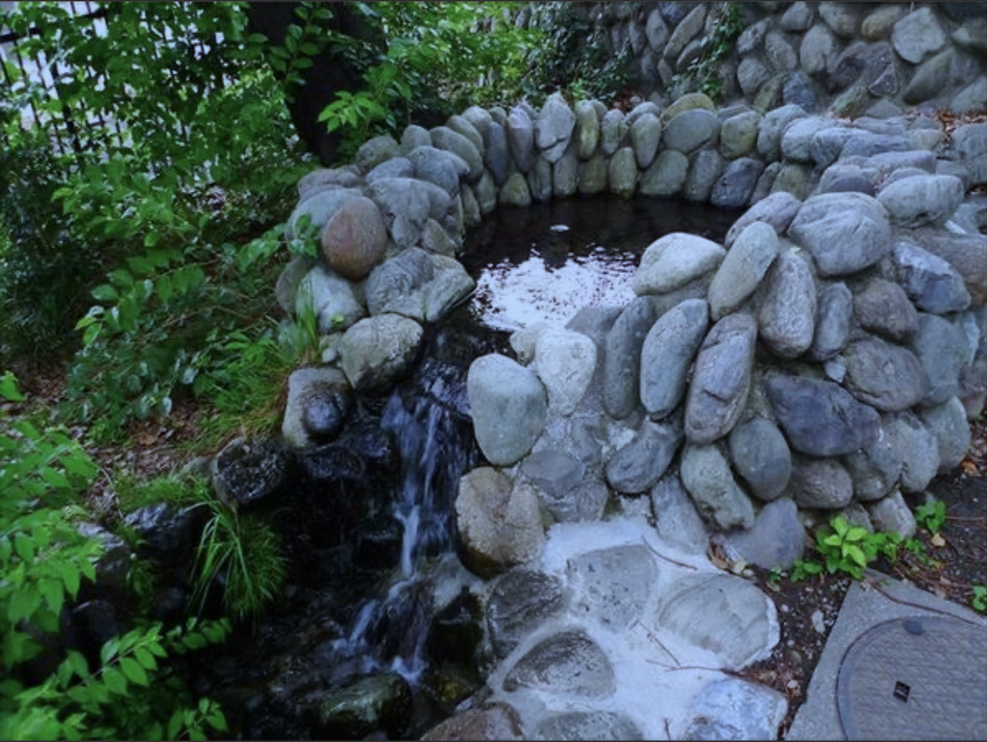 第5回　福生市の湧水探訪