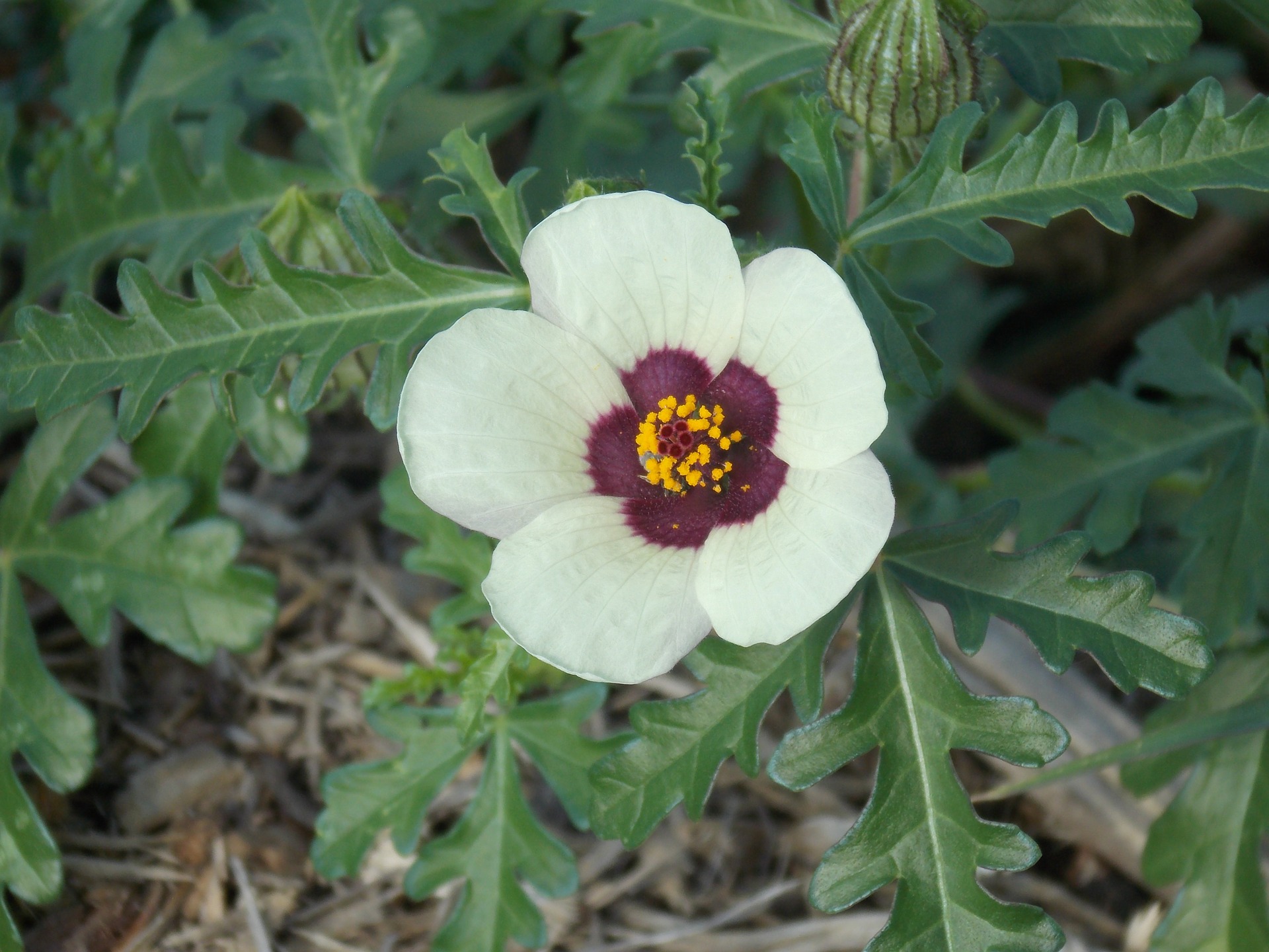 Momo's Stundenblume - Kinder und Jugendliche unter Druck