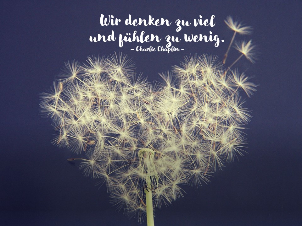 Kein Konzept ersetzt Beziehung