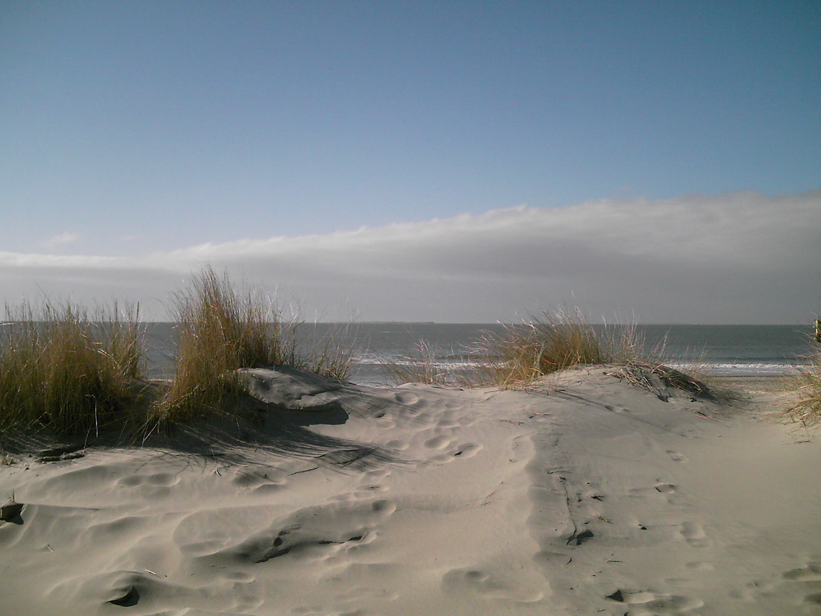 traumhafte Dünen