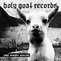 V.A. - Holy Goat Records Labelsampler MMXXIII 10"