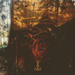 VLIMMER - Bodenhex LP