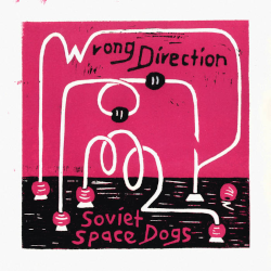 SOVIET SPACE DOGS - Wrong direction