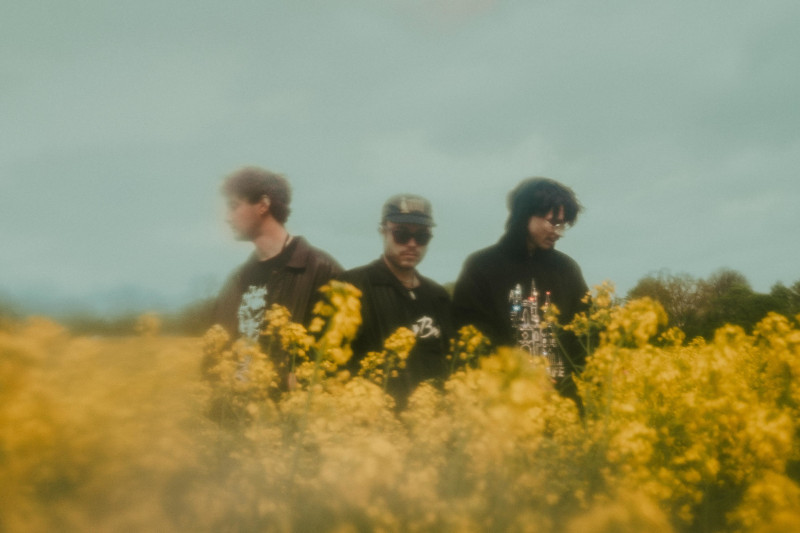 DAS BLÜHENDE LEBEN veröffentlichen neue Single "Umfallen"