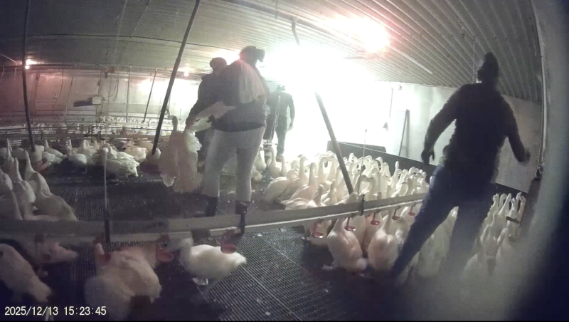 Quellenhinweis „Animal Rights Watch e.V.“