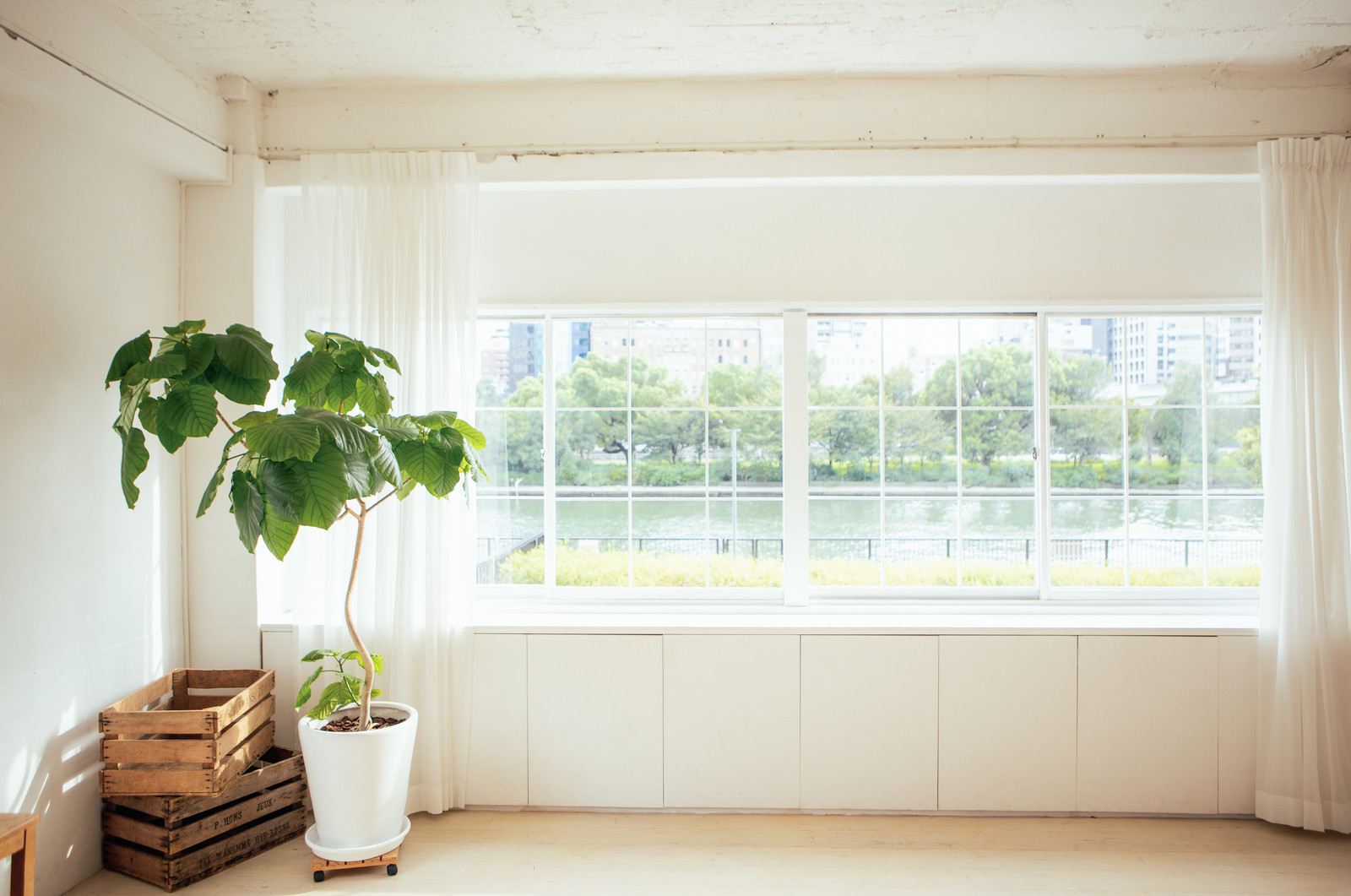 有限会社電化ショップのきのした