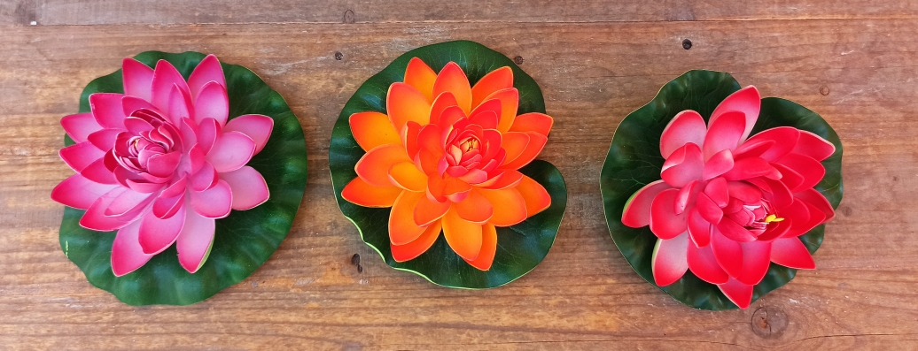 Nenúfar flotante
