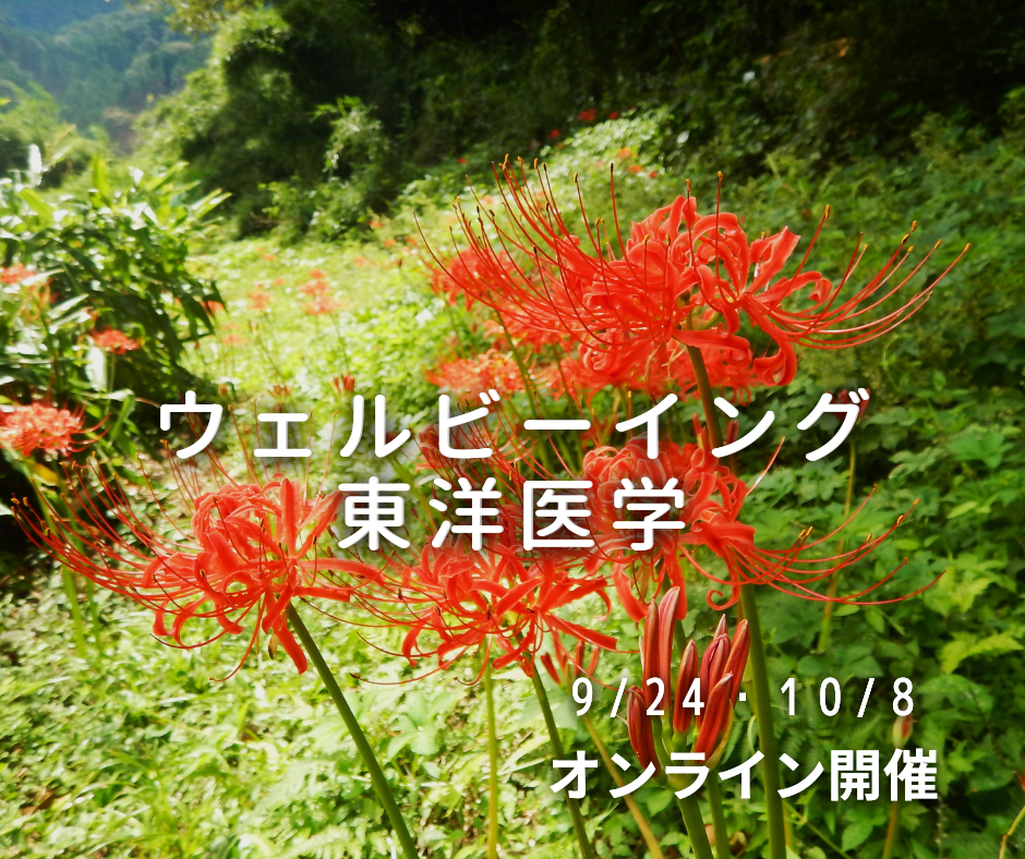 ウェルビーイング東洋医学「秋」　～　実りと手放し