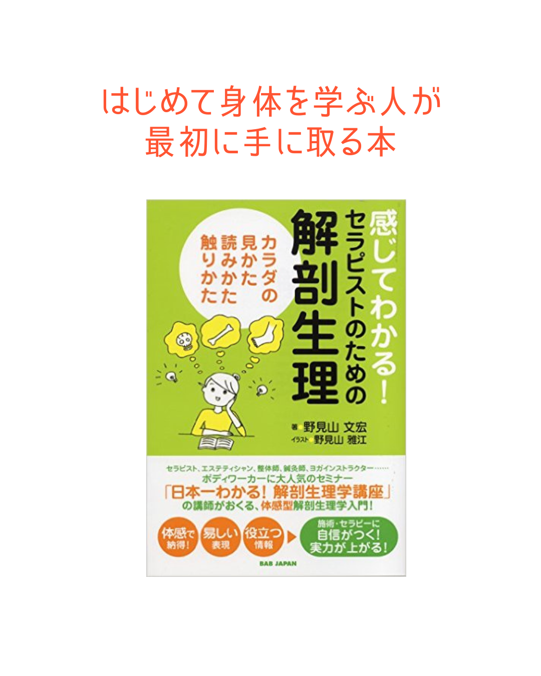 はじめて解剖学を学ぶ人が最初に手に取る本