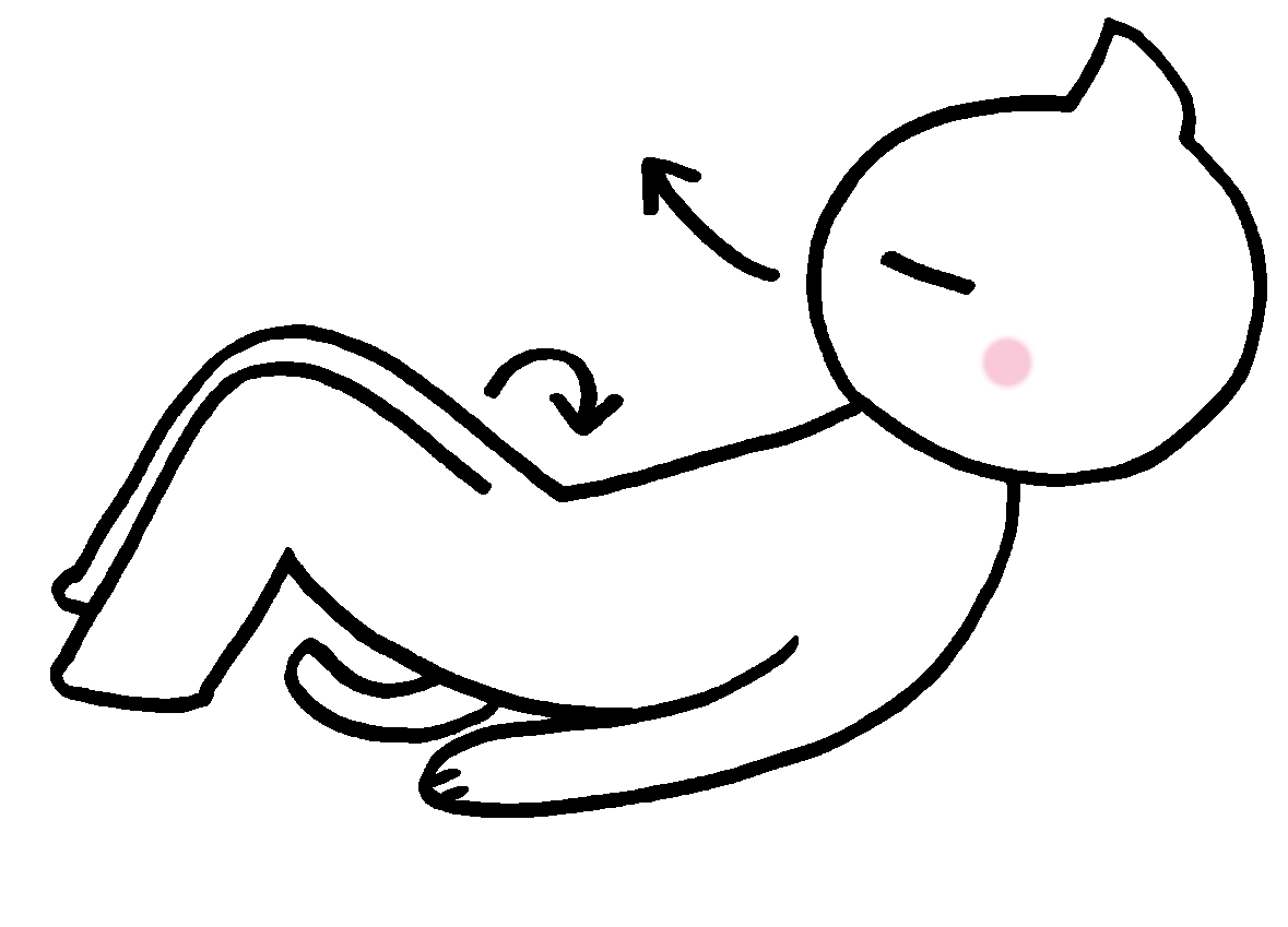 なぜ慢性腰痛はすぐに治らないの？