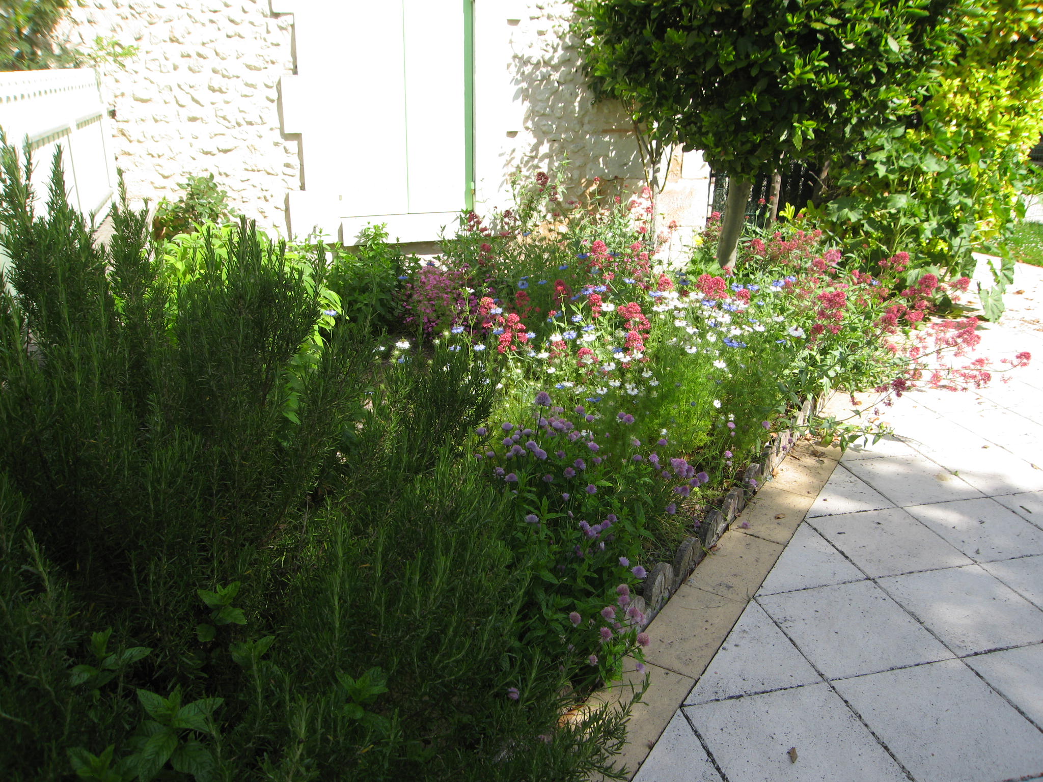 Le mini jardin d'aromatiques