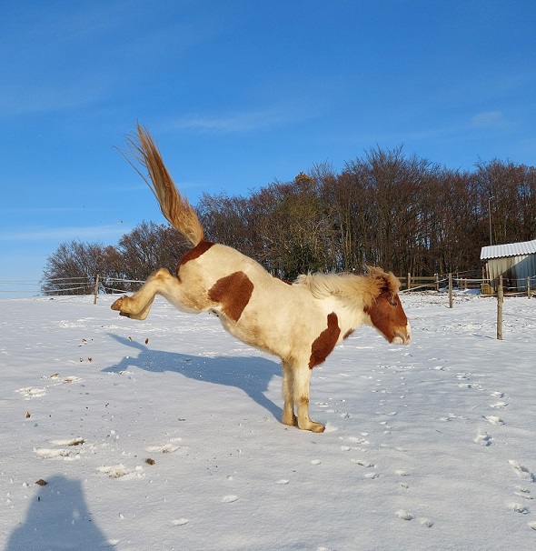 An Unplanned Excursion in the Snow