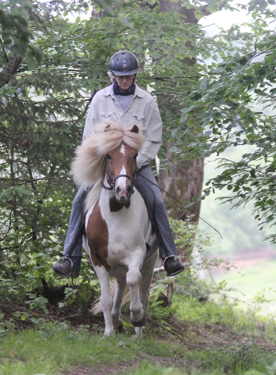 Helgi and Sigrid