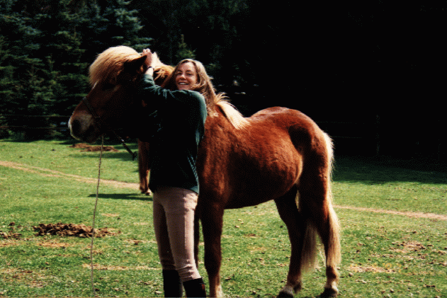 Sörli the Anxious, my first horse and teacher