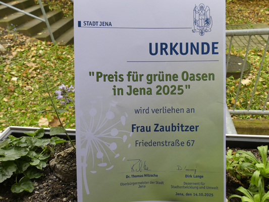 Urkunde "Preis für grüne Oasen in Jena 2025" für Christina Zaubitzer