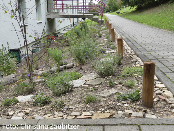 Ein naturnaher Vorgarten in Hanglage