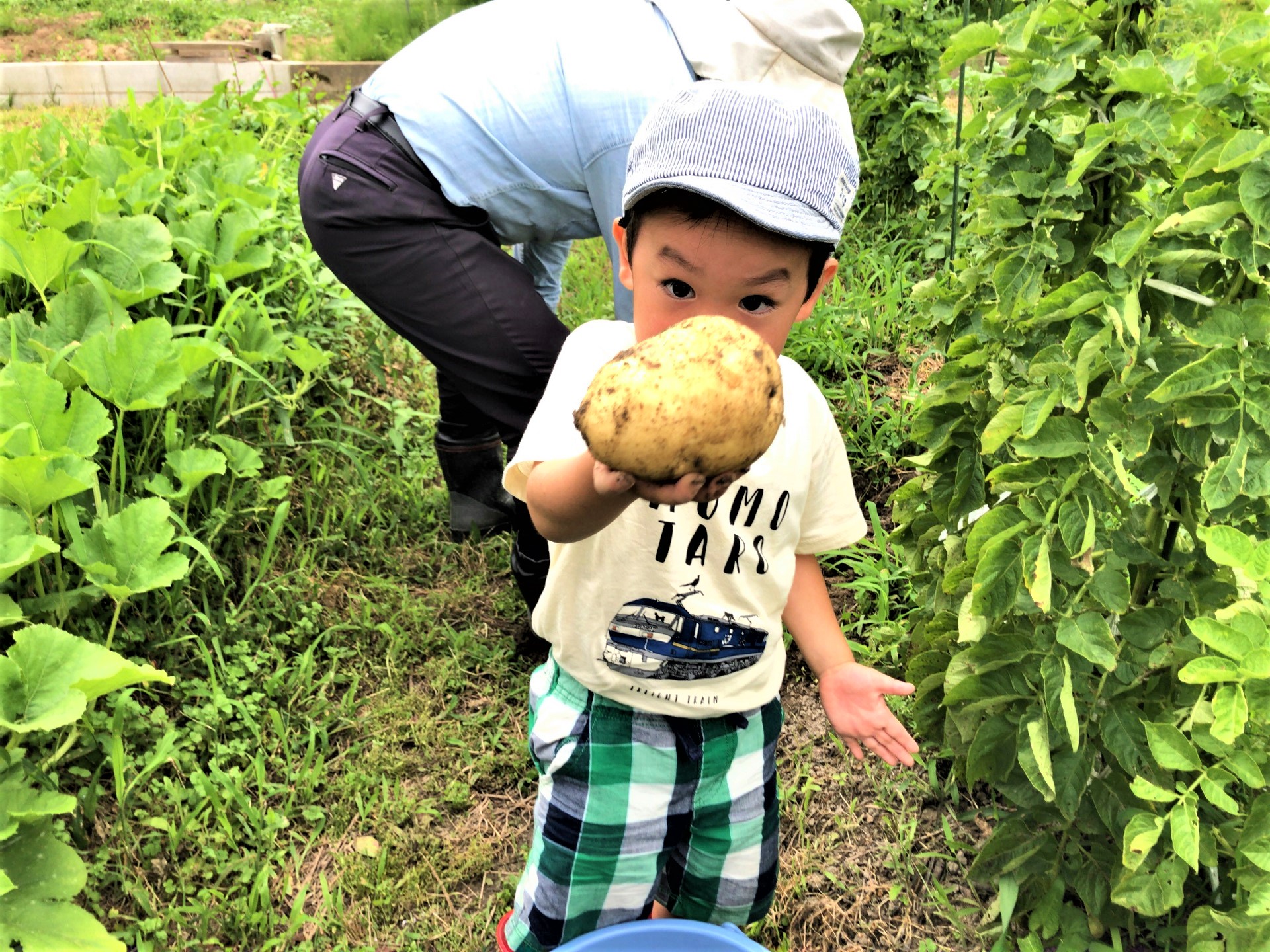 今度はじゃが芋堀掘りだ！