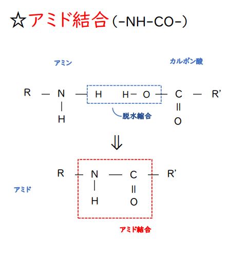 アミド結合