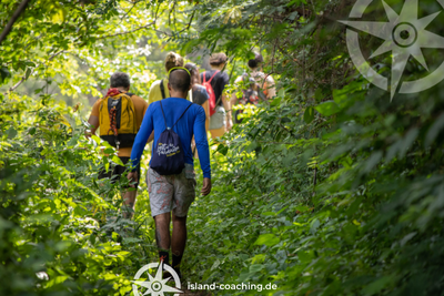 Menschen laufen als Team in den Wald. Mit Waldbaden als Firmenevent kann das Team gemeinsam entspannen und die Natur erleben.
