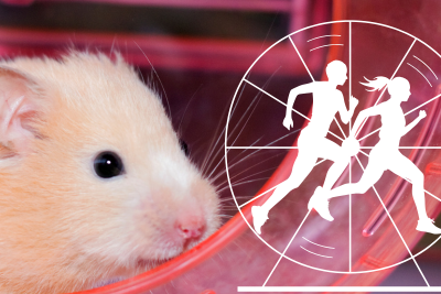 Erlernte Hilflosigkeit: Wie Martin Seligman uns hilft, aus dem Hamsterrad der Ohnmacht auszubrechen