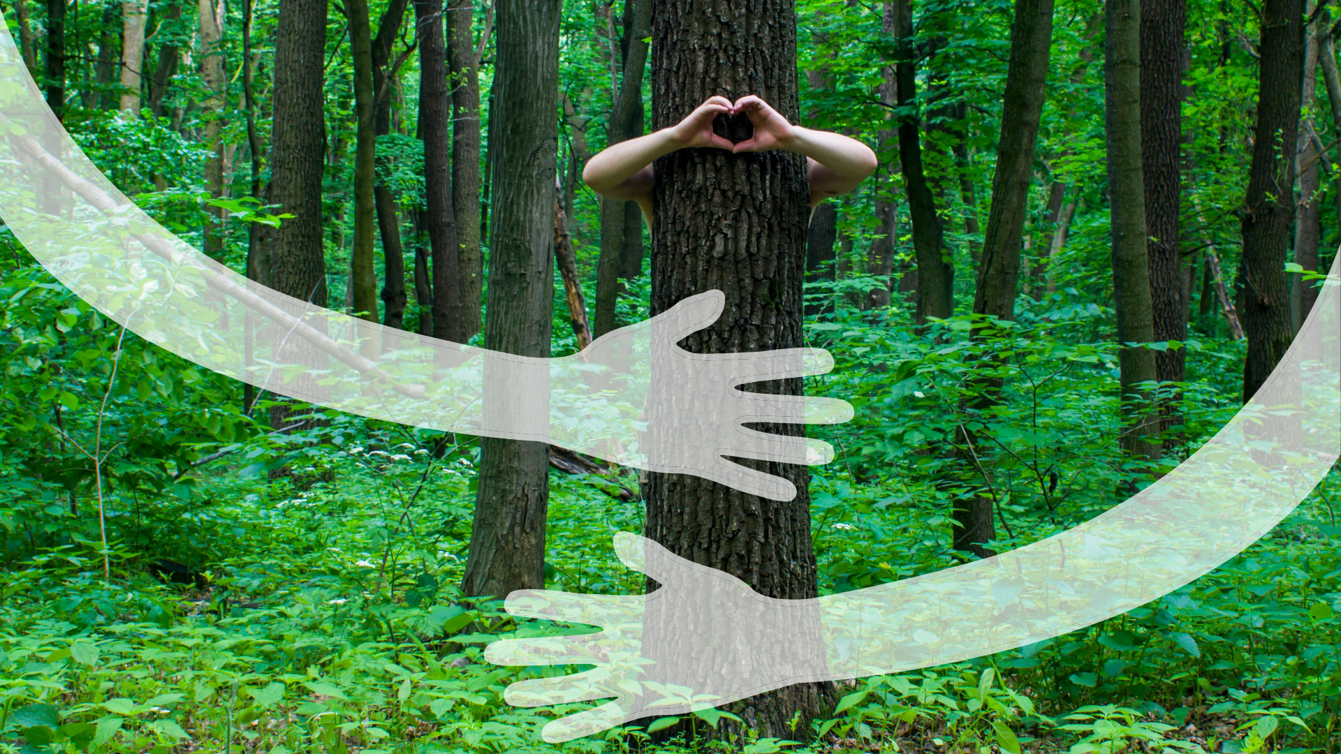 Waldbaden – Der „Wellness-Kick“ aus der Natur