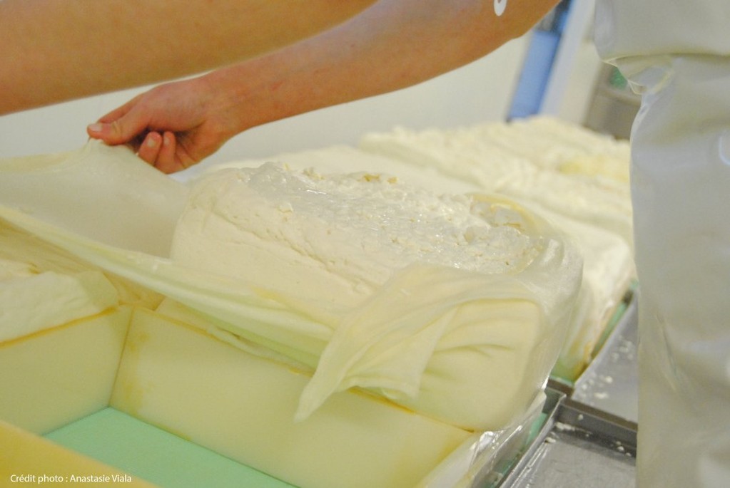Tassage de la tomme