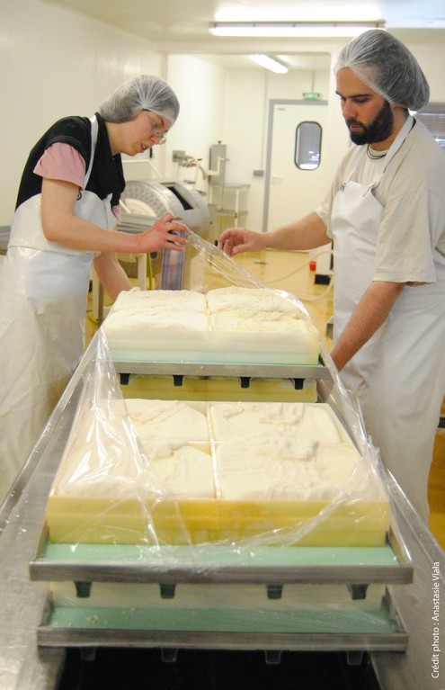 Emballage de la tomme