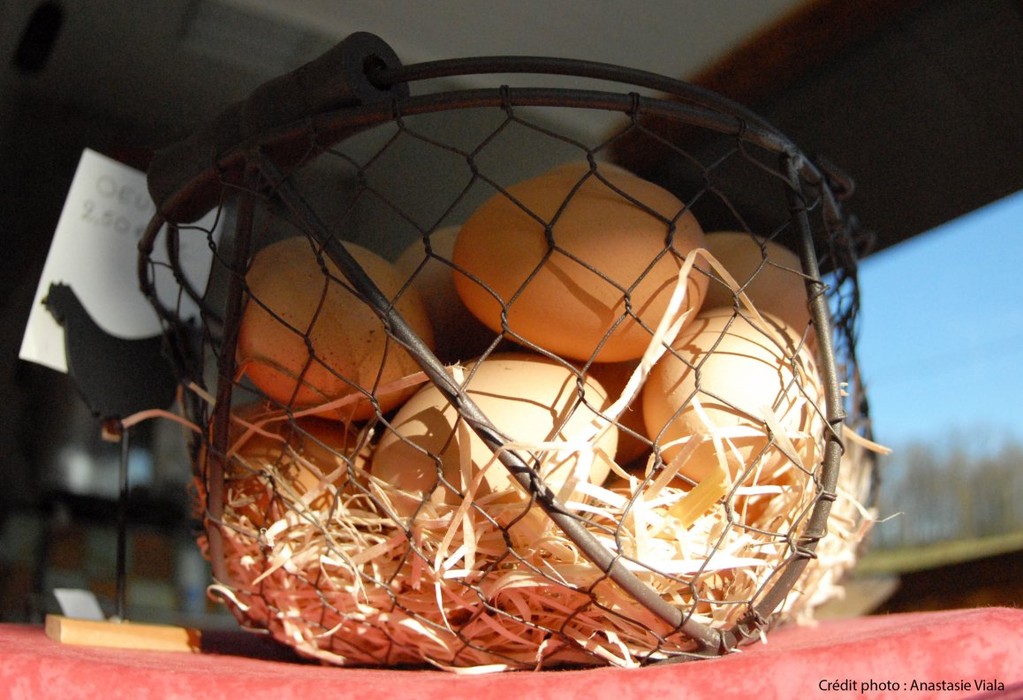 Oeufs du GAEC du Fournatel 