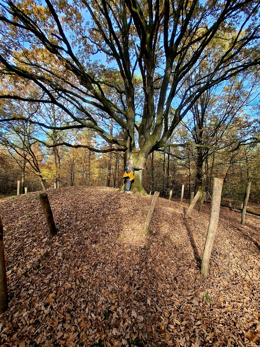 Ik verbind met de plek